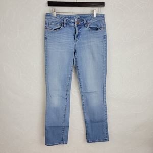 Ann Taylor LOFT Womens Jeans 28/6 Blue Denim Modern Straight High Rise Button